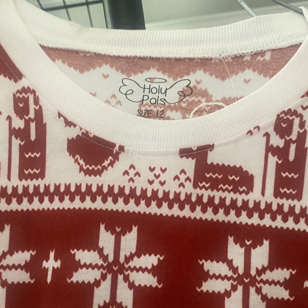 Holy Pals Red and White Christmas Sweater